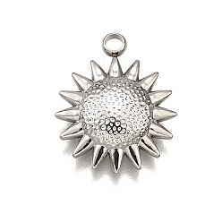 Нержавеющая Сталь Цвет 304 подвески из нержавеющей стали, очарование солнца, анти-тускнение, цвет нержавеющей стали, 16.5x13.5x3 мм, отверстие : 2 мм