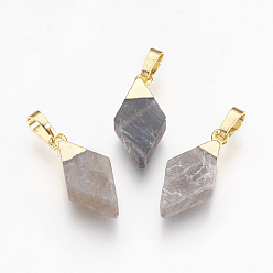 Золотой Натуральные лабрадоритные остроконечные подвески, с латунной фурнитурой , пуля, золотые, 18.5x9x4~5 мм, отверстие : 4x6 мм
