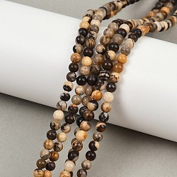 Джаспер Зебра Природные зебры яшмы бисер нитей, круглые, 4 мм, отверстие : 0.6 мм, около 101 шт / нитка, 15.87'' (40.3 см)