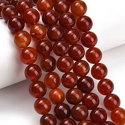 Cornaline Perles naturelles cornaline brins, teints et chauffée, lisse et rond, Grade b, 10mm, Trou: 1.2mm, Environ 38 pcs/chapelet, 14.96'' (38 cm)