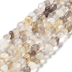 Серый агат Серые натуральные бусины из агата , самородки, 3~5x3~5x3~8 мм, отверстие : 1 мм, около 85~90 шт / нитка, 15.7 дюйм (40 см)