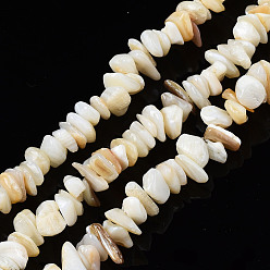 Seashell Color Natural Freshwater Shell Beads Strands, Chips, Seashell Color, 2~6x4~14x4.5~8.5mm, Hole: 0.7~0.8mm, about 258~292pcs/strand, 31.10 inch~32.05 inch(79cm~81.4cm)