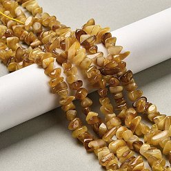 Янтарный Янтарные шарики нити, чип, 6~8x6.5~9.5x4~5.5 мм, отверстие : 0.6 мм, около 102 шт / нитка, 15.16 дюйм (38.5 см)