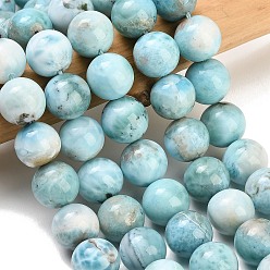 Larimar Natural Larimar Beads Strands, Smooth Round, 12.5~13mm, Hole: 1mm, about 33pcs/strand, 15.35~15.55''(39~39.5cm)