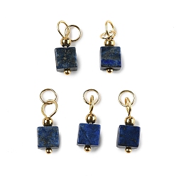 Ляпис-Лазурь Природный лазурит подвески, подвески suqare с 304 петлями из нержавеющей стали, золотые, 16x6x6 мм, отверстие : 3.5 мм
