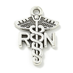 Античное Серебро Сплавочные подвески тибетского стиля, без свинца и без кадмия, крыло со змеей, античное серебро, 20.5x15x2 мм, отверстие : 1.5 мм