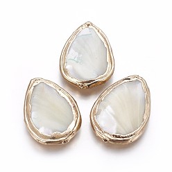 Дригие Морские Ракушки Стеклянные бусы, край позолоченный, слеза, 28~34x20~24x5~5.5 мм, отверстие : 0.8 мм