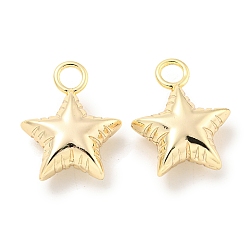 Настоящее золото 18K Латунные подвески, без кадмия, без никеля и без свинца, реальный 18 k позолоченный, 22.5x17.8x7.5 мм, отверстие : 4 мм