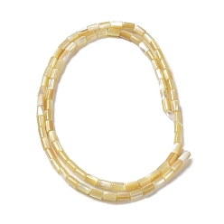 Coquille De Trochus Brins de perles de coquillages naturels de troca, colonne, 4.5~5x3mm, Trou: 0.8mm, Environ 81 pcs/chapelet, 15.47'' (39.3 cm)