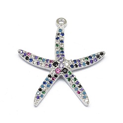 Платина Сплав микро проложить цирконий подвески, долговечный, морская звезда / морские звезды, красочный, платина, 26x24x4 мм, отверстие : 1.2 мм