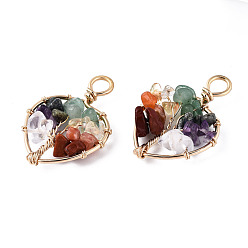 Смешанные камни Природные каменные смешанные подвески, золотистая латунная проволока, дерево, сердце, 37~38.5x26~27x5.5~7.5 мм, отверстие : 4 мм