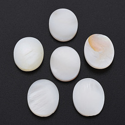 Blanc Coquille eau douce naturelle cabochons, ovale, blanc, 17.5x13x3mm