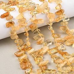 Цитрин Нагретые нити из натуральных цитриновых бусин, чип, Топ пробуренной, с бисером, 9~28x5~11x3~7 мм, отверстие : 1 мм, около 46~59 шт / нитка, 15.16~15.55'' (38.5~39.5 см)