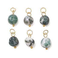 Золотой Подвески из натурального древесного агата, обработанного методом галтовки., самородки прелести, с 304 фурнитурой из нержавеющей стали, золотые, 14x8.5x7 мм, Перейти кольцо: 5x0.6 мм, внутренний диаметр: 3.4 мм