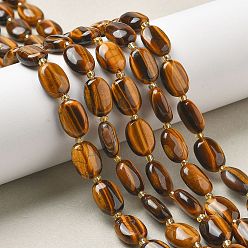 Тигровый глаз Природных тигровый глаз бисер нитей, с бисером, Плоско-овальные, 14~14.5x10x5~6 мм, отверстие : 1 мм, около 25 шт / нитка, 14.96''~15.35'' (38~39 см)