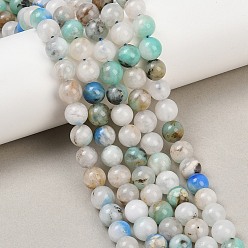 Azurite Натуральные нитки из бисера азурита, круглые, 8 мм, отверстие : 1.2 мм, около 48 шт / нитка, 15.08 дюйм (38.3 см)