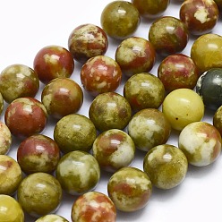 Bloodstone Natural Bloodstone Beads Strands, Round, 12mm, Hole: 1mm, about 34pcs/strand, 15.7 inch(40cm)