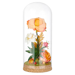 Прозрачный 1Купол из поликарбонатного стекла, декоративная витрина, Террариум в форме колокольчика с пробковым основанием, прозрачные, 90x210 мм