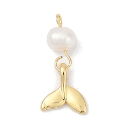 Настоящее золото 18K Подвески из натурального пресноводного жемчуга и латуни, рыбы прелести, стойки покрытие, без кадмия и без свинца, долговечный, реальный 18 k позолоченный, 21.5x9.5x5 мм, отверстие : 2 мм