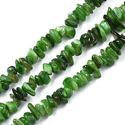 Green Natural Freshwater Shell Beads Strands, Dyed, Chips, Green, 2~6x4~14x4.5~8.5mm, Hole: 0.7~0.8mm, about 258~292pcs/strand, 31.10 inch~32.05 inch(79cm~81.4cm)