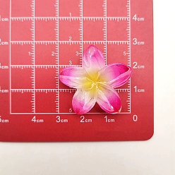 Камелия Непрозрачные кабошоны из смолы, цветы, камелия, 27x28.5x6 мм