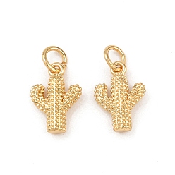 Настоящее золото 18K Латунные подвески, кактус прелести, долговечный, без свинца и без кадмия, стойки покрытие, с целью перехода в кольце, реальный 18 k позолоченный, 13x9x3.5 мм, отверстие : 3.3 мм