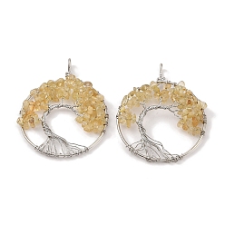 Желтый Кварц Натуральные желтые кварцевые большие подвески, с платиновой и латунной фурнитурой, долговечный, без свинца и без кадмия, плоские круглые с деревом, 62x49x6~13 мм, отверстие : 7x4 мм