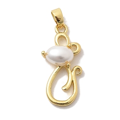 Mouse Стойки обшивки латунные подвески, с ABS имитации жемчуга, долговечный, без свинца и без кадмия, реальный 18 k позолоченный, мышь, 24.5x12x6.5 мм, отверстие : 4.5x2.5 мм