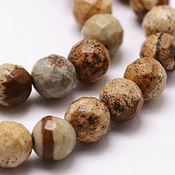 Picture Jasper Natural Picture Jasper Beads Strands, Faceted, Round, 8mm, Hole: 1mm, about 44pcs/strand, 14.9 inch~15.1 inch