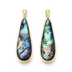 Раковина Природные пауа оболочки подвески, слезинки, с латунной, золотые, 40~40.5x11.5x3.5~4.5 мм, отверстие : 5x4 мм