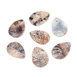 Верблюжий Подвески из натуральной оболочки, слезинки, верблюжие, 14.5~15.2x10~10.5x0.5~1 мм, отверстие : 1.4 мм