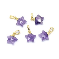 Аметист Природный аметист прелести, с длинными латунными накладками, граненые, звезда, золотые, 14x13x5 мм, отверстие : 3.5x5.5 мм