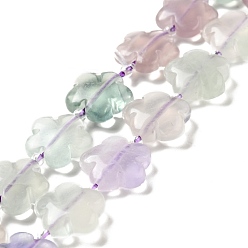 Fluorite Natural Fluorite Beads Strands, 5-petal Flower, 14~15x14~15x6~7mm, Hole: 1.2mm, about 27pcs/strand, 16.14''(41~44.5cm)