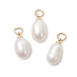 Золотой Натуральные культивированные пресноводные жемчужные рисовые подвески, с латунными штифтовыми скобами, белые, золотые, 14.5~15x7.5~8 мм, Перейти кольцо: 5x0.8 мм, внутренний диаметр: 3.4 мм