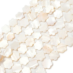 Морская Ракушка Естественных пресноводных оболочки бисер нитей, цветок, цвет морской раковины, 13.5x12.5x1.5~2 мм, отверстие : 0.5 мм, около 29~30 шт / нитка, 14.96''~15.35'' (38~39 см)