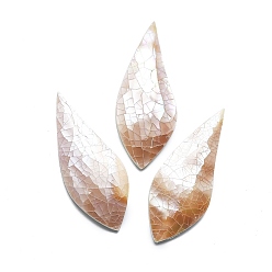 Seashell Color Natural Shell Cabochons, Teardrop, Seashell Color, 50x20~21x4~5mm