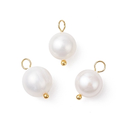 Золотой Круглые подвески из натурального культивированного пресноводного жемчуга, с медными петлями, кремово-белые, золотые, 14~14.5x8.5~9 мм, отверстие : 2.5 мм