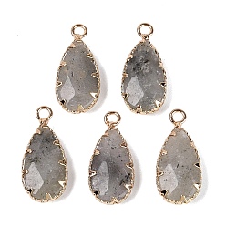Labradorite Natural Labradorite Faceted Pendants, Brass Teardrop Bezeled Charms, Golden, 24~25x10.5~11.5x5~5.5mm, Hole: 2mm