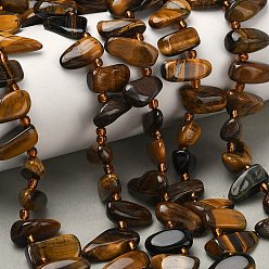 Тигровый глаз Природных тигровый глаз бисер нитей, чип, Топ пробуренной, с бисером, 13~20x6~10x5~8 мм, отверстие : 1.2 мм, около 46~47 шт / нитка, 15.55''~15.75'' (39.5~40 см)
