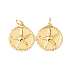 Морская звезда Латунные подвески, морские животные амулеты, без кадмия и без свинца, стойки покрытие, долговечный, с целью перехода в кольце, морская звезда, 17x15x2 мм, отверстие : 3 мм