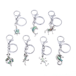 Shell Natural Sea Shell Keychain, with Rhinestone, Brass Lobster Claw Clasps and Split Key Rings, Mixed Shapes, 88~104.5mm, Pendant: 26.5~40.5x18.5~28.5x2.5~5.5mm