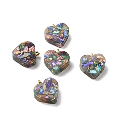 Разноцветный Подвески из прозрачной смолы из натуральной имперской яшмы, окрашенные чипсами, с золотыми тонами латунных петель, шарма сердца, красочный, 16.5x15.5x6~6.5 мм, отверстие : 2 мм