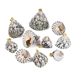 Medium Aquamarine Brass & Natural Spiral Shell Pendants, Conch Charms, Light Gold, Medium Aquamarine, 15~36x18~32x16~30mm, Hole: 4~5x3.5mm