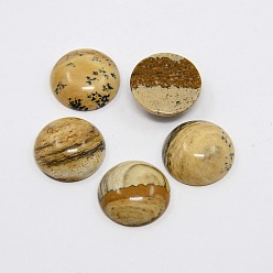 Picture Jasper Natural Gemstone Cabochons, Half Round/Dome, Picture Jasper, 15x5mm