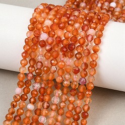Цветочный Агат Живой цветок агат бисер нитей, круглые, граненые, окрашенная и подогревом, 4~4.5 мм, отверстие : 0.6 мм, около 98 шт / нитка, 15.59'' (39.6 см)