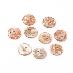 Коралловый Раковина морского морского ушка / раковина пауа, плоско-круглые, 2-луночное, коралл, 12.5x2 мм, отверстие : 1.8 мм