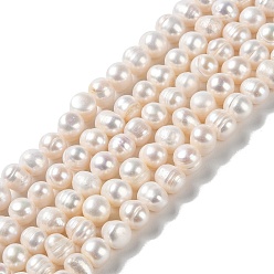 PapayaWhip Natural Cultured Freshwater Pearl Beads Strands, Potato, Grade A+, PapayaWhip, 9~10x8~9mm, Hole: 0.6mm, about 47pcs/strand, 13.78~13.98''(35~35.5cm)