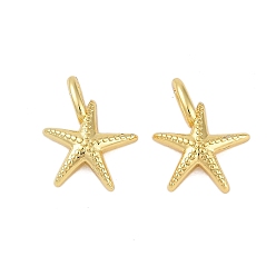 Настоящее золото 18K Стойки обшивки латунные подвески, долговечный, без свинца и без кадмия, прелести морская звезда, реальный 18 k позолоченный, 14x11x4 мм, отверстие : 2x1.5 мм
