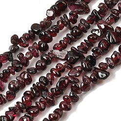 Garnet Natural Garnet Beads Strands, Chips, 5~10x4~6mm, Hole: 1mm, about 32 inch
