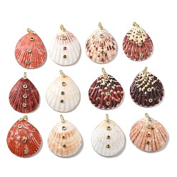 Mixed Color Natural Shell Pendants, Shell Shape Charms, with Brass Micro Pave Random Color
 Cubic Zirconia Findings, Mixed Color, 48x37.5x11.5mm, Hole: 5.5x4.5mm